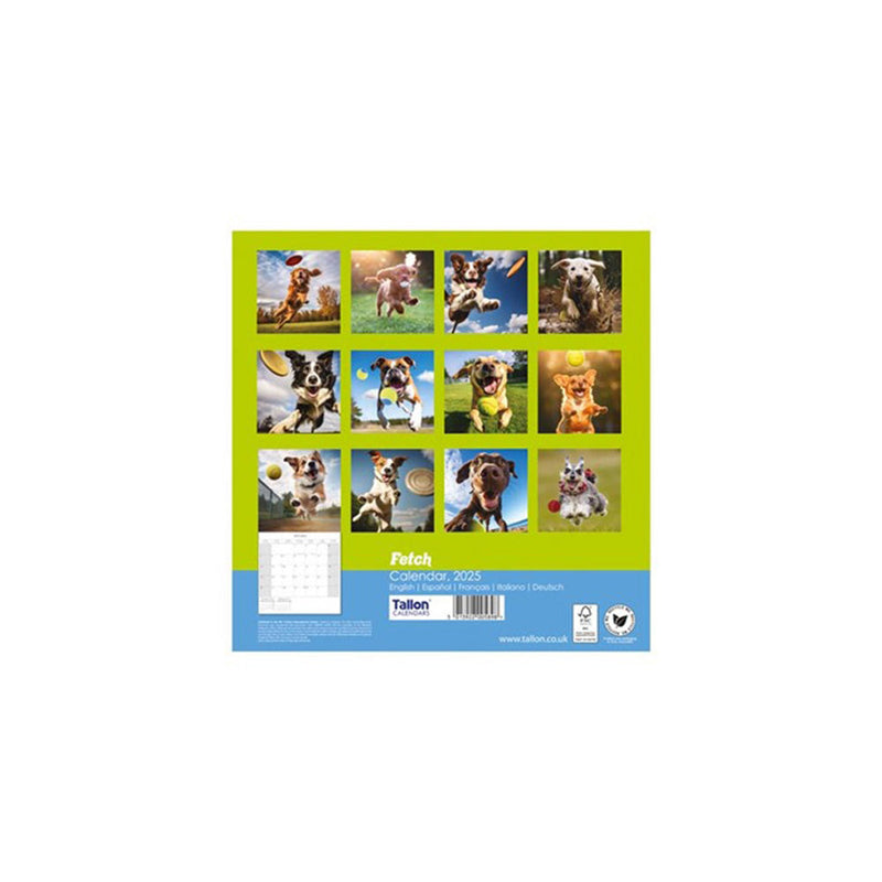 2026 Fetch Dogs Playing Ball Square Wall Calendar