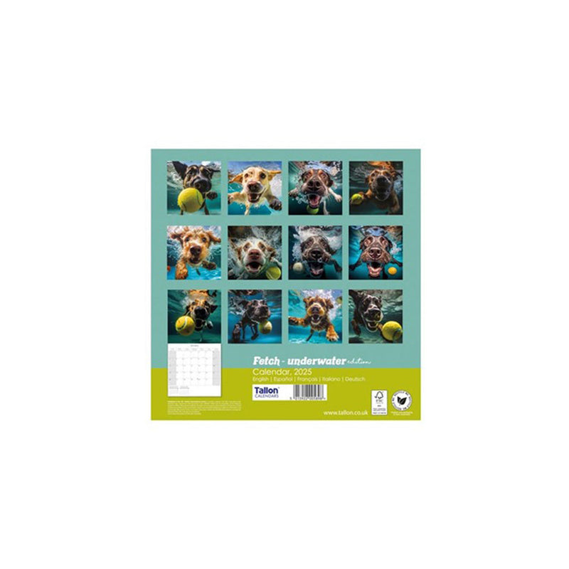 2026 Fetch Dogs Playing Ball Square Wall Calendar