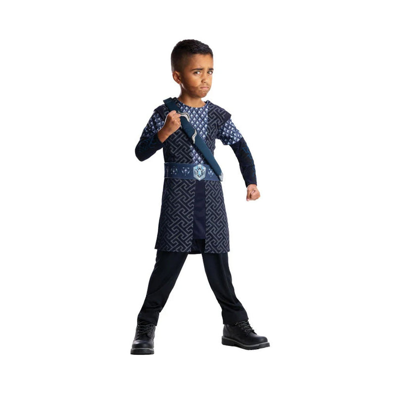 Hobbit Thorin Oakensheild Boy Costume Fancy Dress Outfit Size M