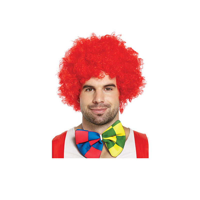 Clown Wig 4 Assorted Colours