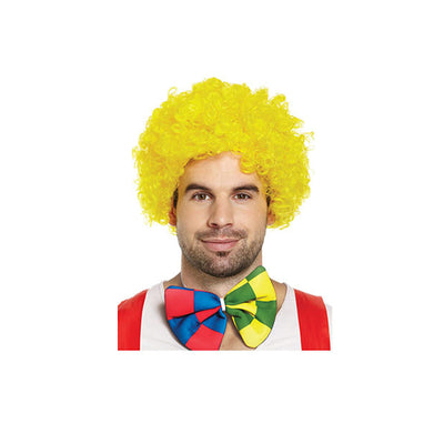 Clown Wig 4 Assorted Colours