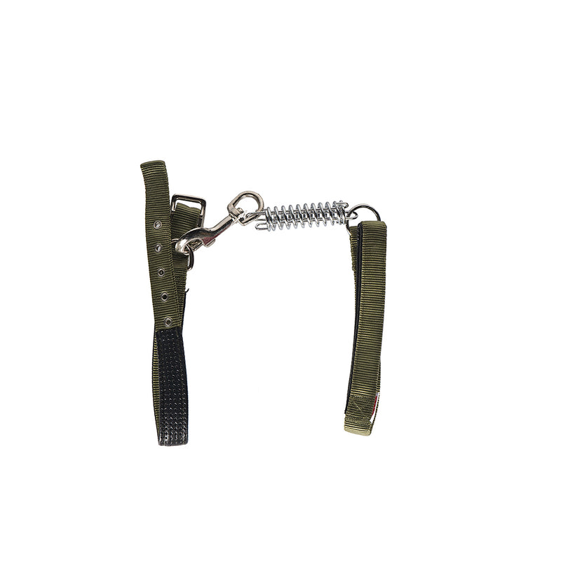 Large Dog Collar With Spring Green 25MM x 70A