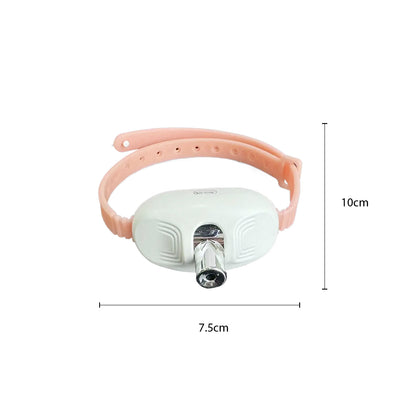 Laser Tease Collar for Pet with Interactive LED Light