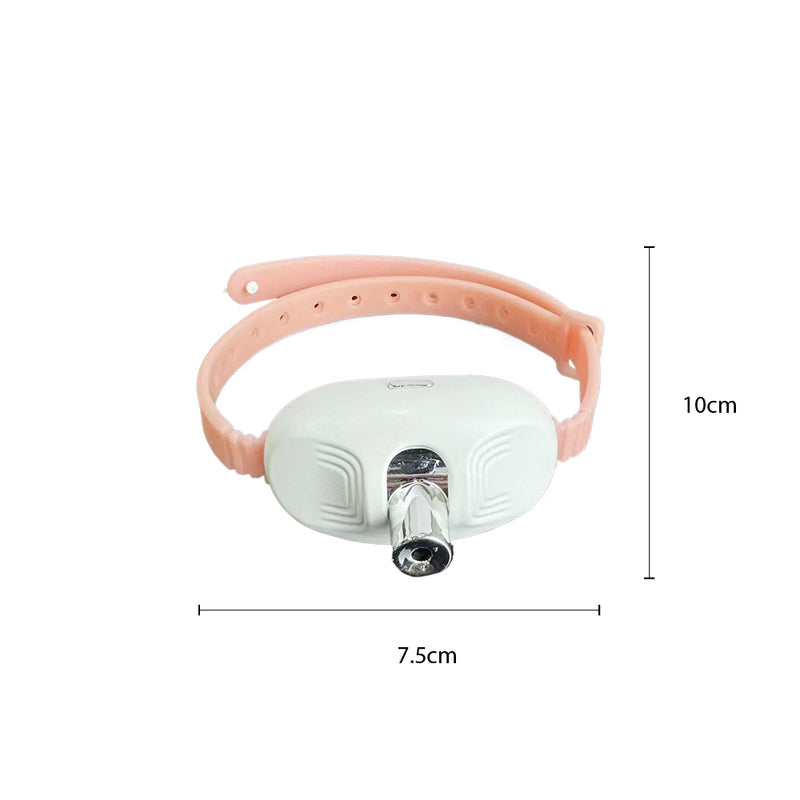 Laser Tease Collar for Pet with Interactive LED Light