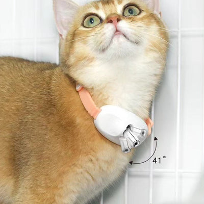 Laser Tease Collar for Pet with Interactive LED Light