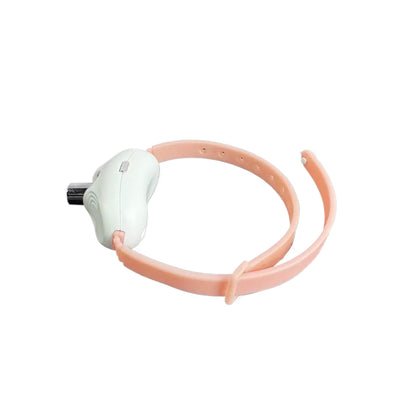 Laser Tease Collar for Pet with Interactive LED Light