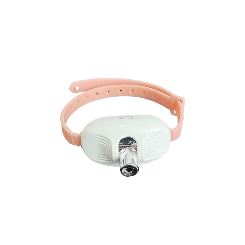 Laser Tease Collar for Pet with Interactive LED Light