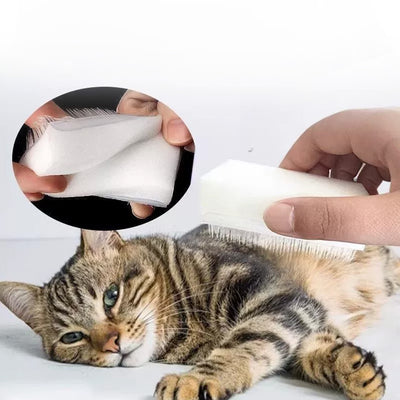 Pet Care