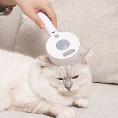 Pet Steam Spray One-Click Hair Remove Comb