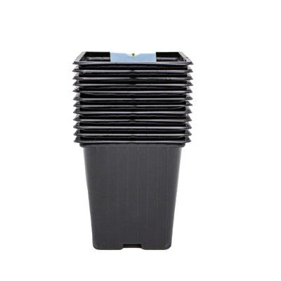 Square Black Pots 9cm 12PK