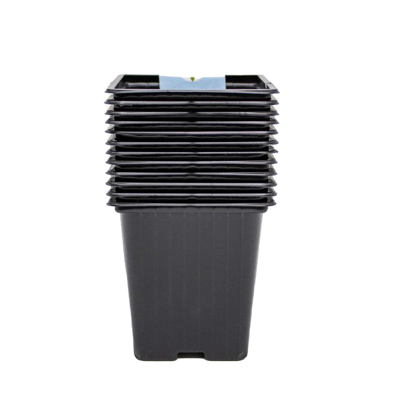Square Black Pots 9cm 12PK
