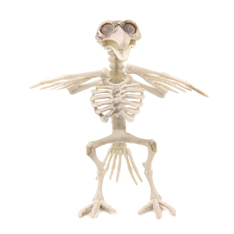 Spooky Animals Skeleton Halloween Bird/Dog/Spider