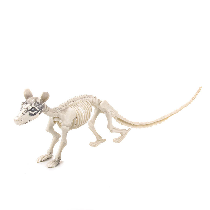 Spooky Animals Skeleton Halloween Bird/Dog/Spider