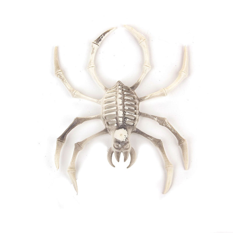 Spooky Animals Skeleton Halloween Bird/Dog/Spider
