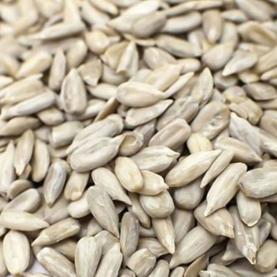 Dawn Chorus Sunflower Hearts Bird Seed 600g