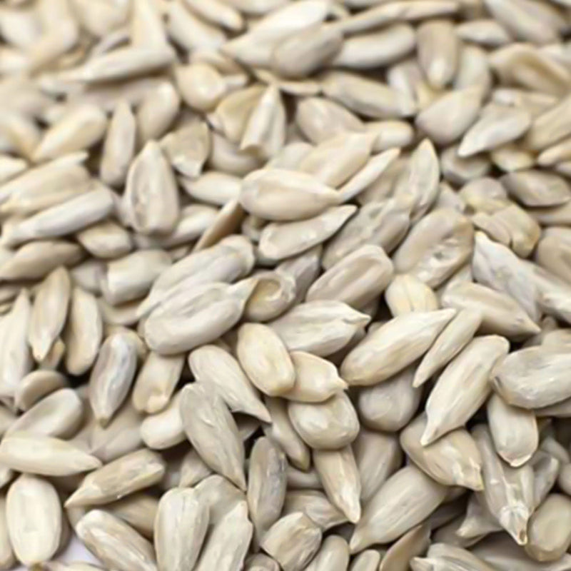 Dawn Chorus Sunflower Hearts Bird Seed 600g