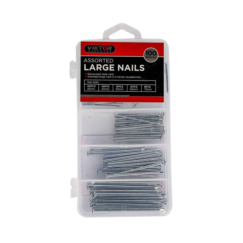 Large Nails 100