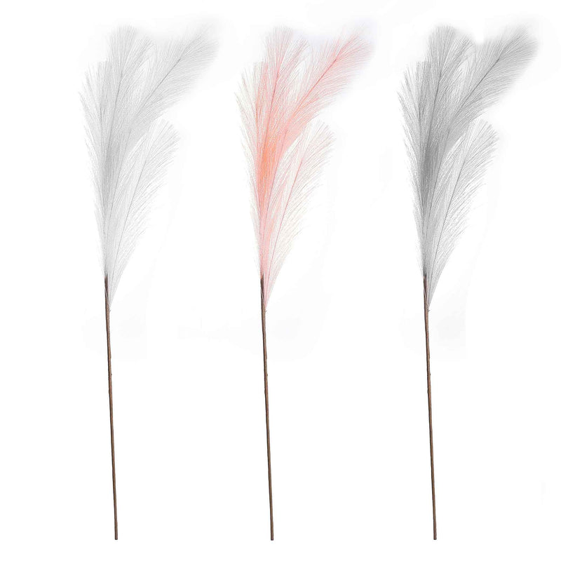 Pampas Grass Assorted 90cm