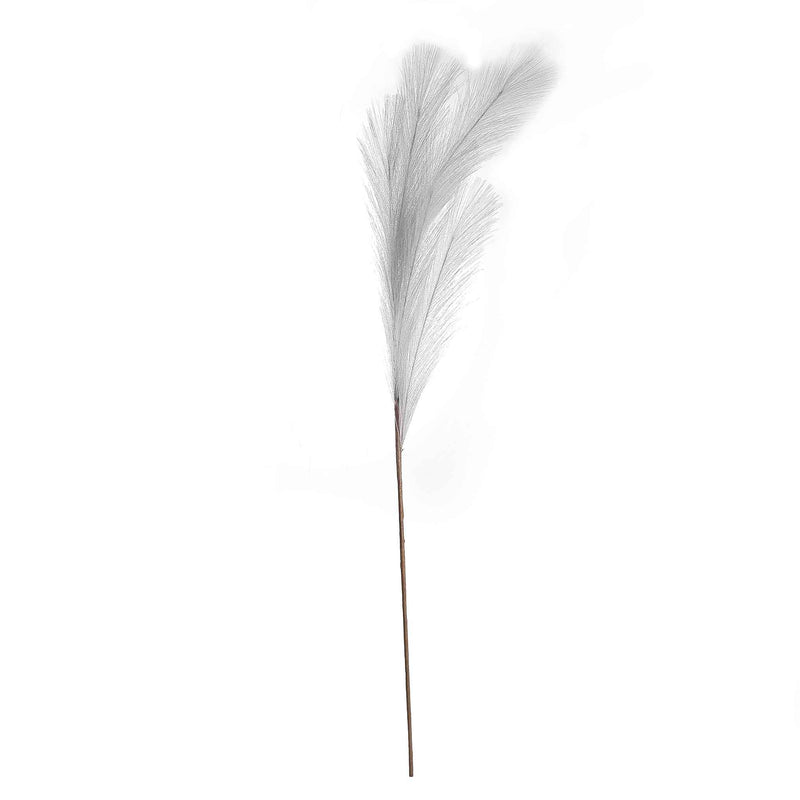Pampas Grass Assorted 90cm