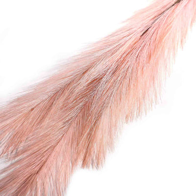 Pampas Grass Assorted 90cm