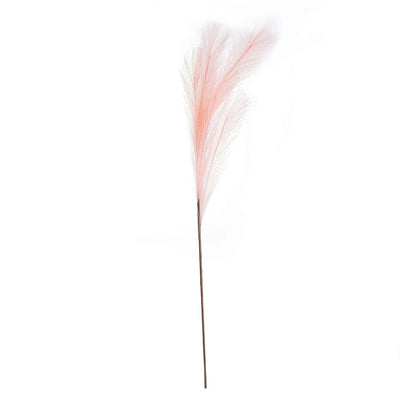Pampas Grass Assorted 90cm