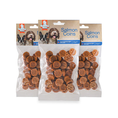 Delicious Treat Salmon Coins 120g