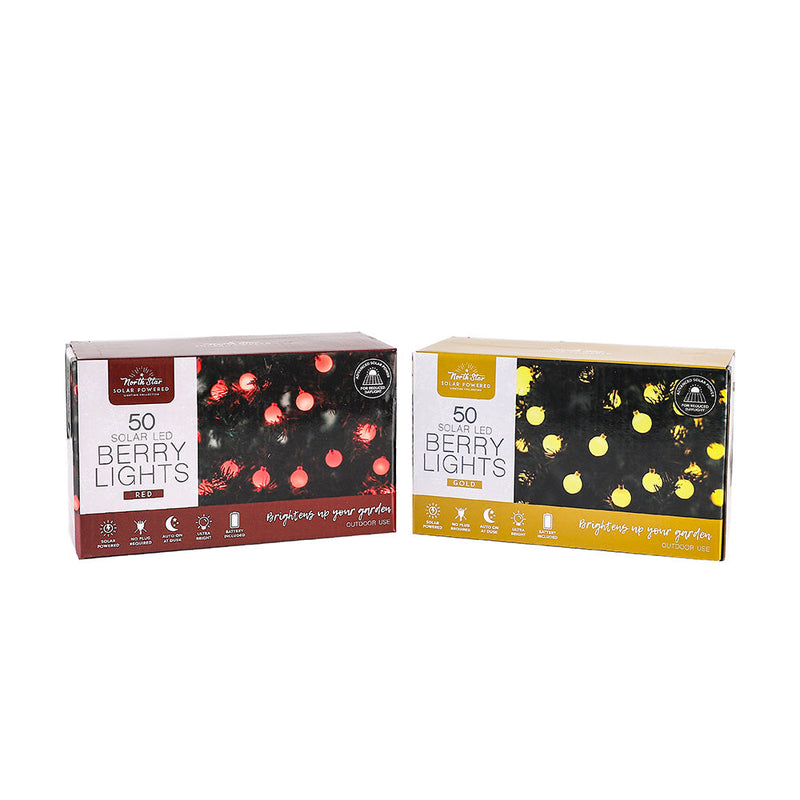 50 LED Winter Solar Berry Lights