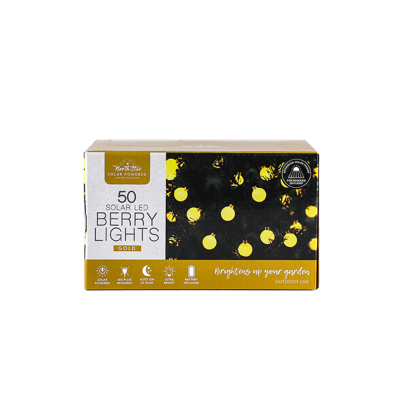 50 LED Winter Solar Berry Lights
