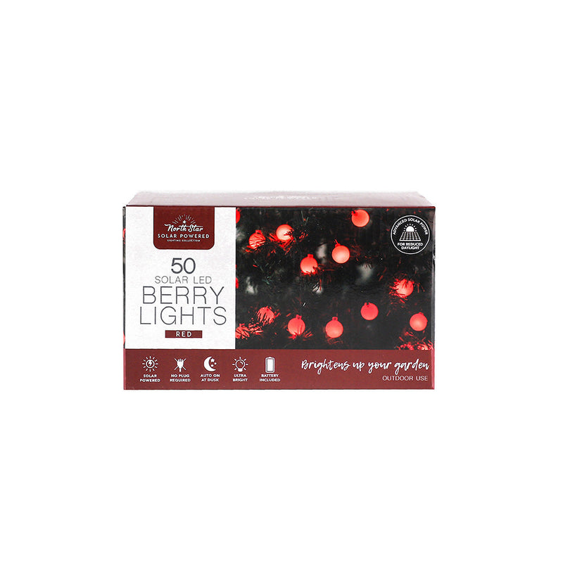 50 LED Winter Solar Berry Lights