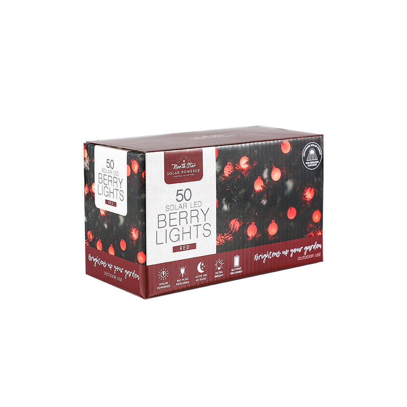 50 LED Winter Solar Berry Lights