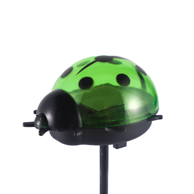 Solar Ladybird Bright White Light