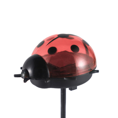 Solar Ladybird Bright White Light