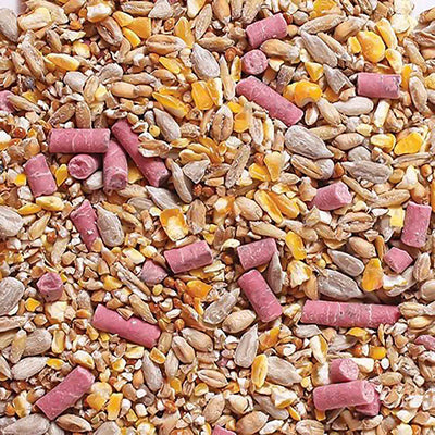 Robin & Songbird Mix Seed 900g