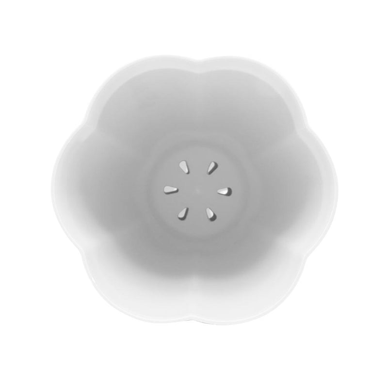 Petal Plastic Plant Pot 16cm