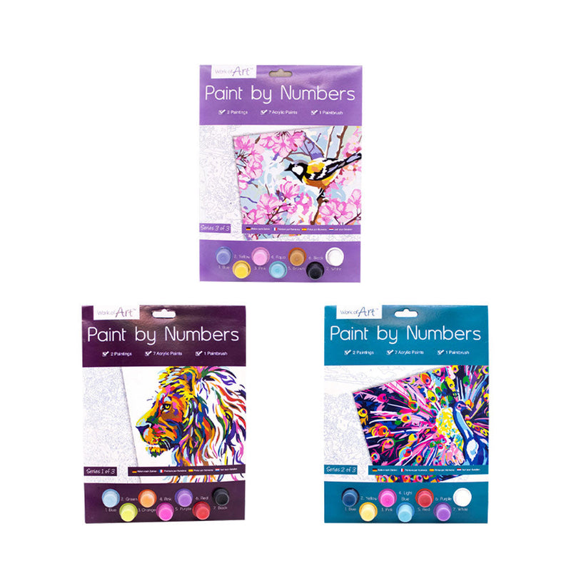 Paint By Numbers 3 Designs