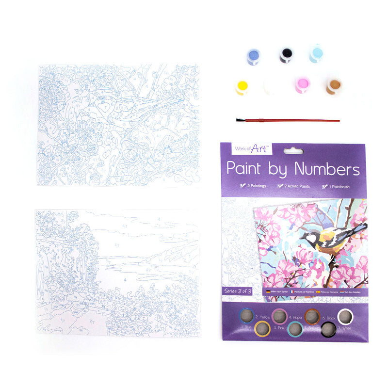 Paint By Numbers 3 Designs
