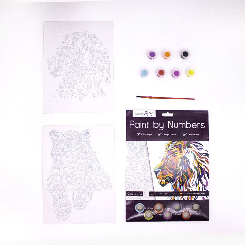 Paint By Numbers 3 Designs
