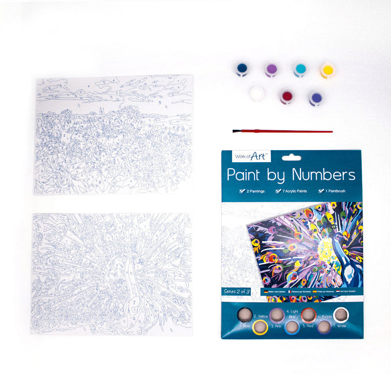 Paint By Numbers 3 Designs