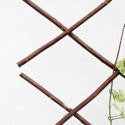 Expanding Willow Trellis 6FTx2FT