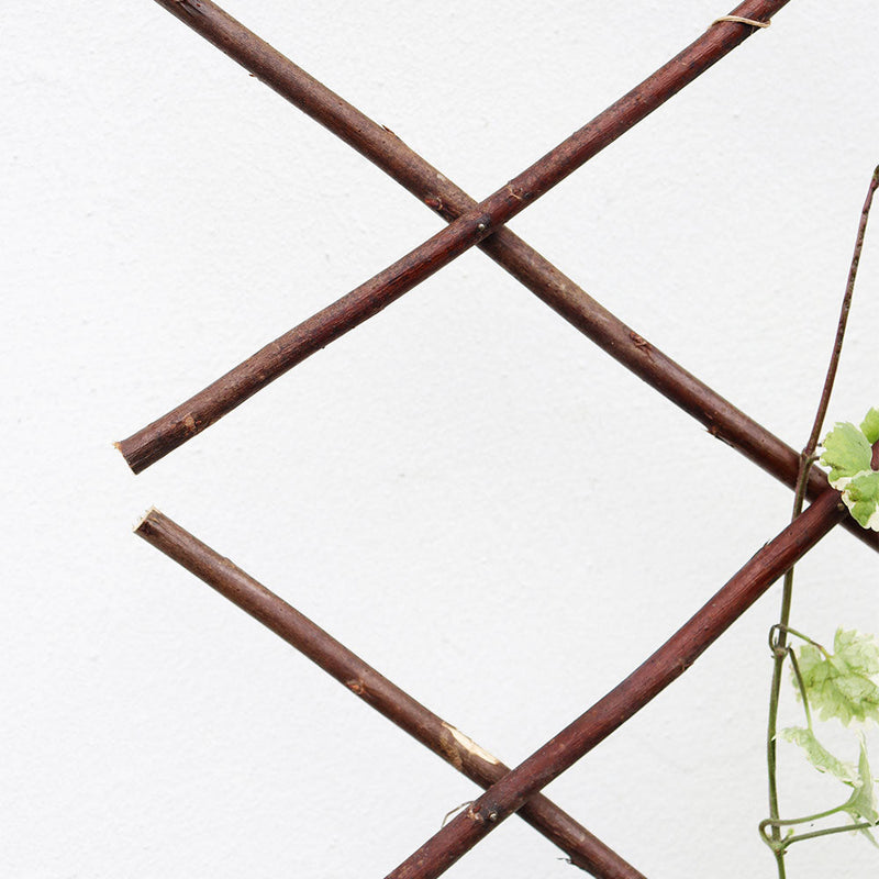 Expanding Willow Trellis 6FTx2FT