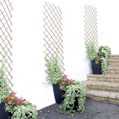 Expanding Willow Trellis 6FTx1FT