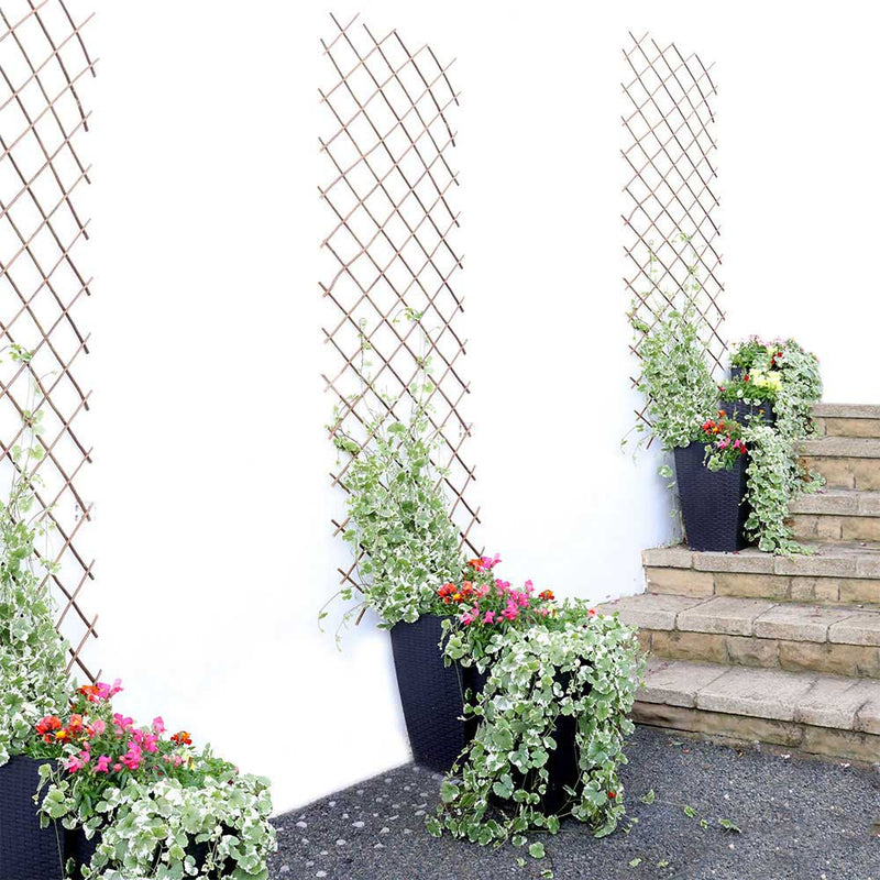 Expanding Willow Trellis 6FTx1FT